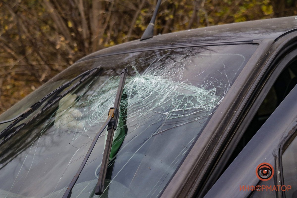 Фото: Дмитрий Федоров