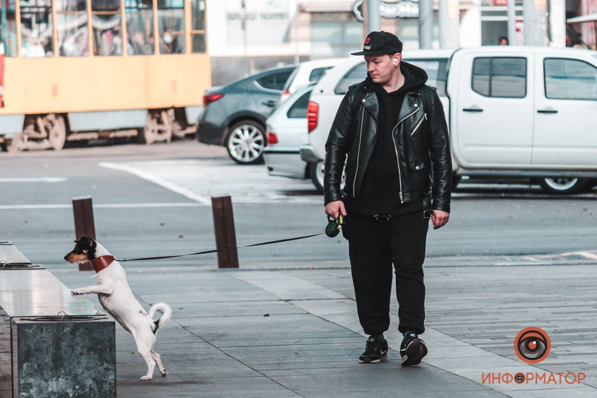 Хвостатая ревизия