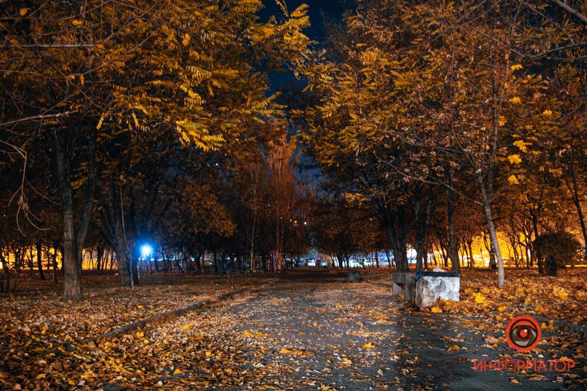 Время шуршать листвой Время шуршать листвой