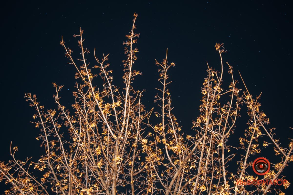 Почти все растеряло Почти все растеряло