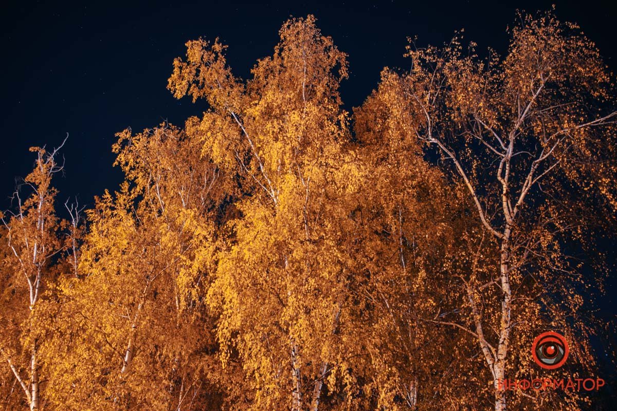 Все еще плотная стена Все еще плотная стена