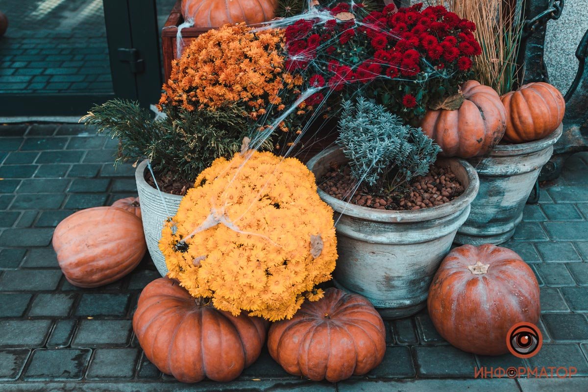 Хэллоуин — это праздник вампиров и ведьм