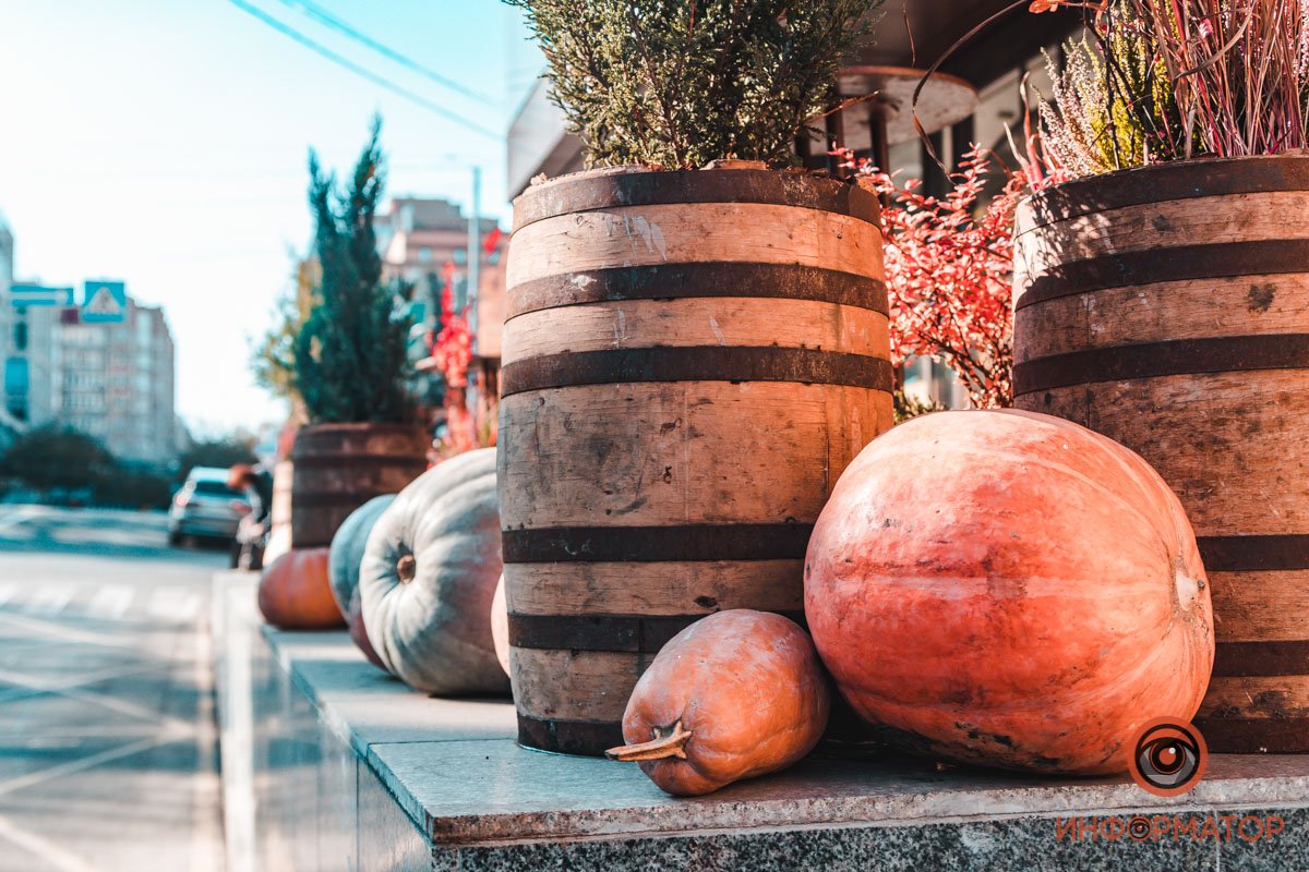 Нарядись лисой, пингвином