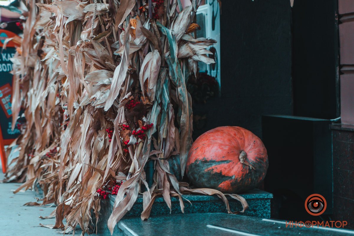 И никакие привидения и вампиры нам не страшны!