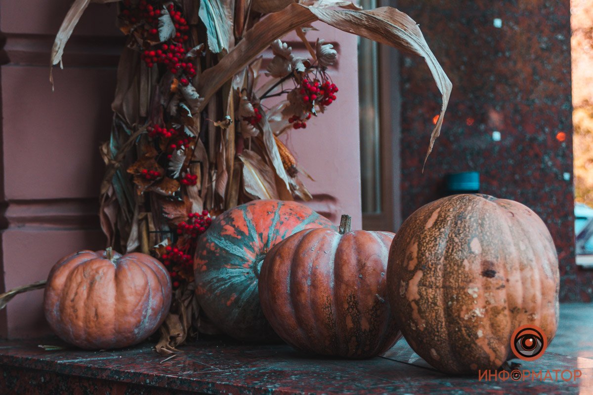 Это ж сколько тыквенной каши можно наварить