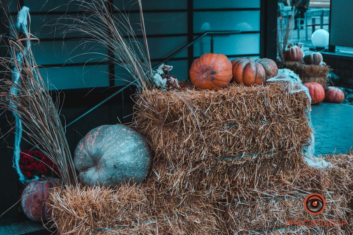 Куда их потом девают?