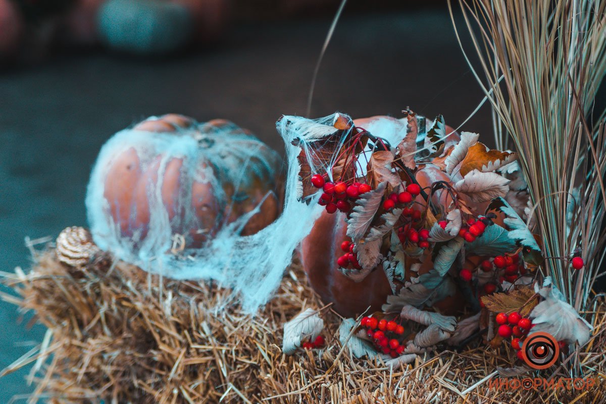 Вроде паутина, а выглядит как снег