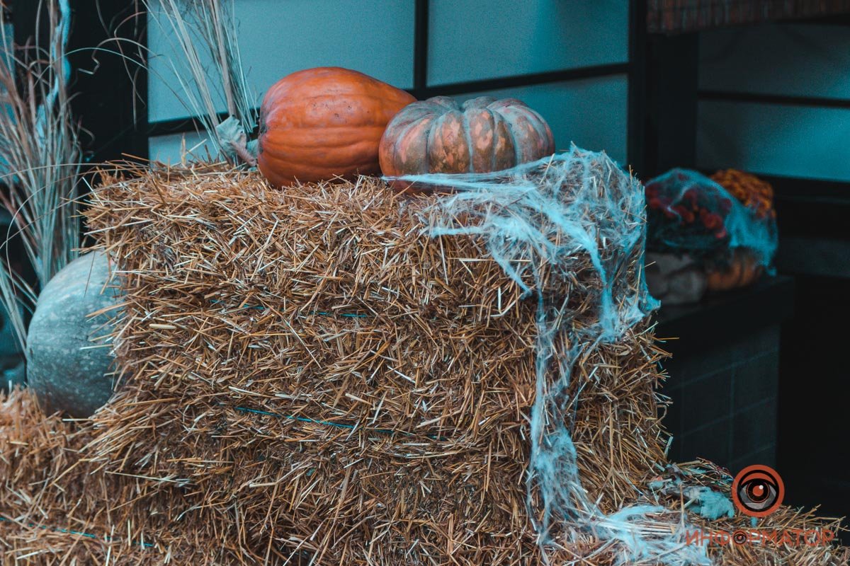 Тыквы на сене