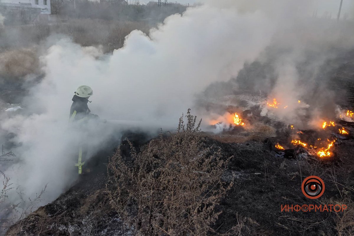Фото: Владимир Колисниченко