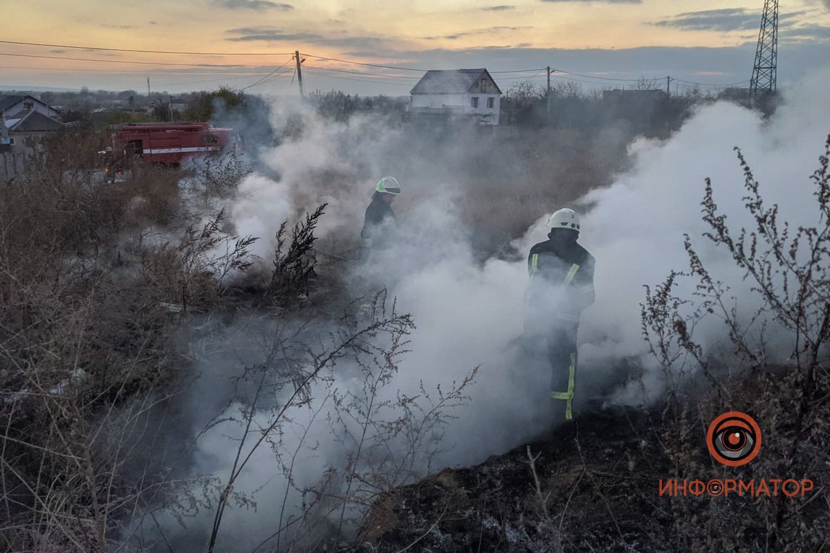 Фото: Владимир Колисниченко