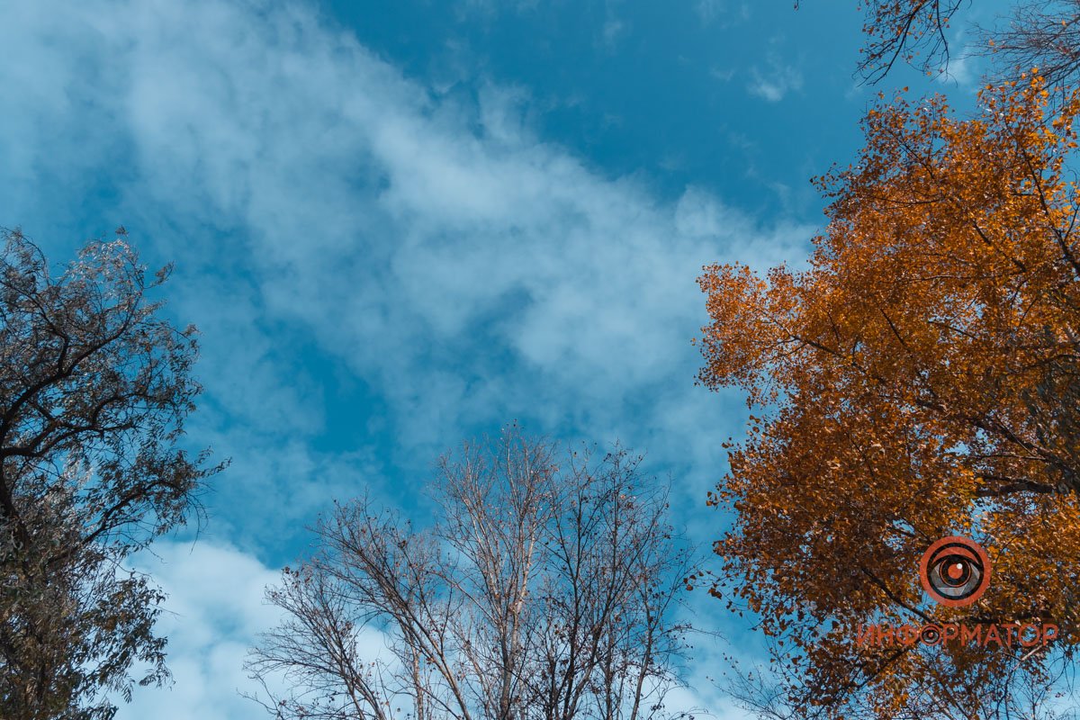 Иногда нужно остановиться и просто посмотреть на небо