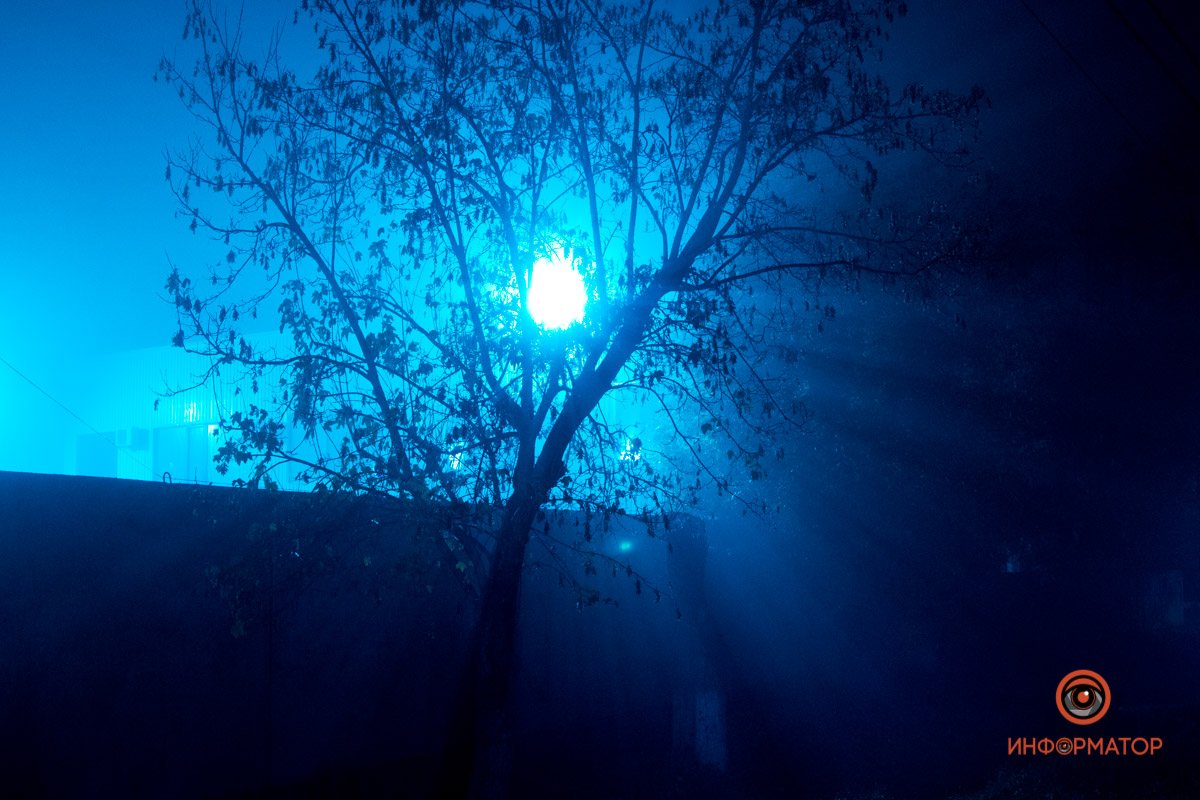 Если долго смотреть на лунный свет, то можно поехать "кукухой", так говорят