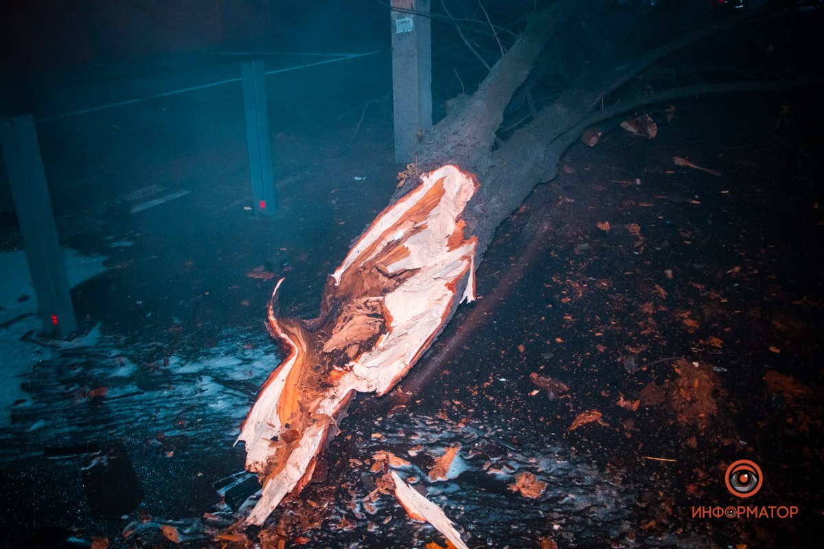 Дерево Дерево