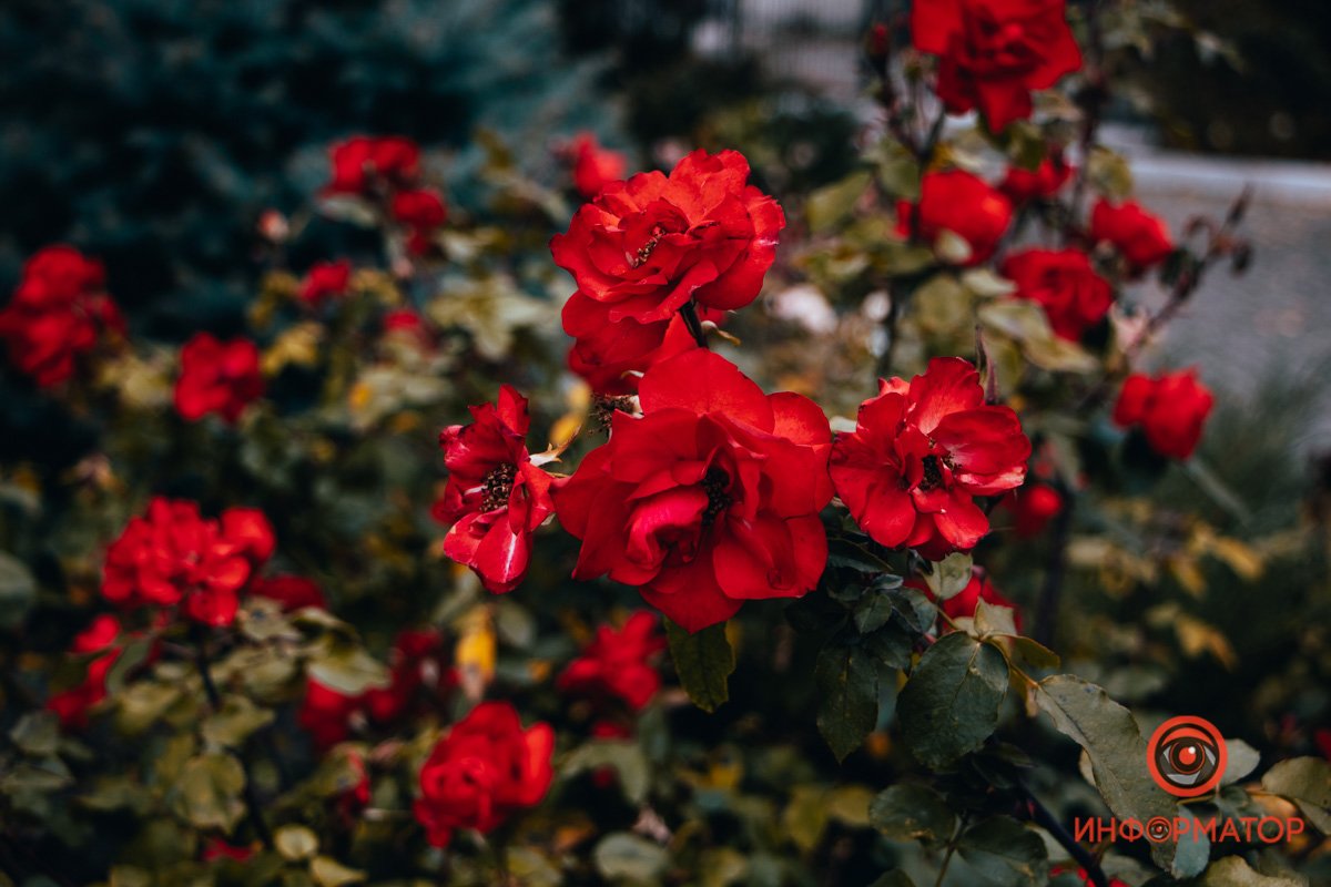 Готовится з зиме Готовится з зиме