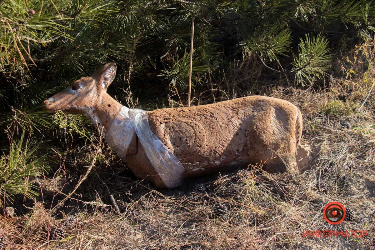 Фото: Руслана Левченко
