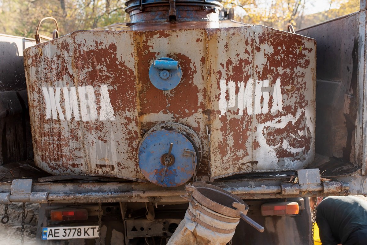 В озеро Котлован на левом берегу Днепра запустили полтонны рыбы 2