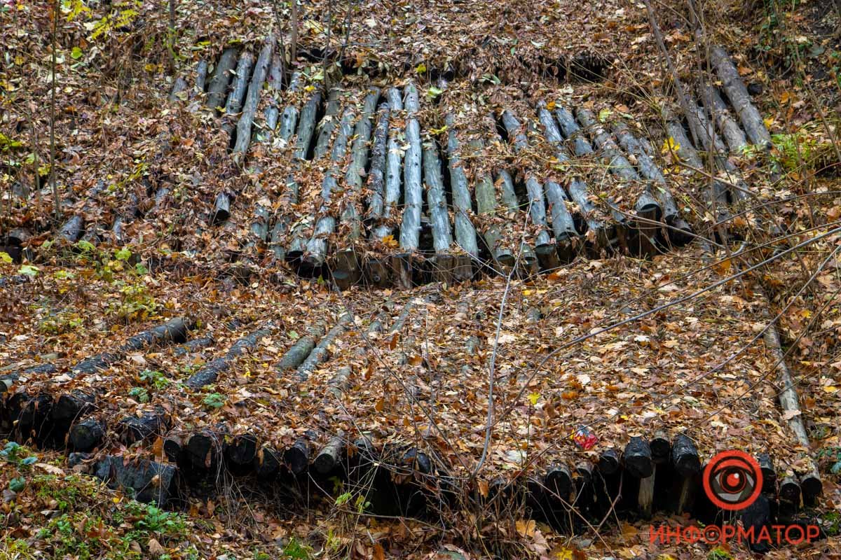 В Днепре продолжат ремонт парка Зеленый гай: что изменится 8