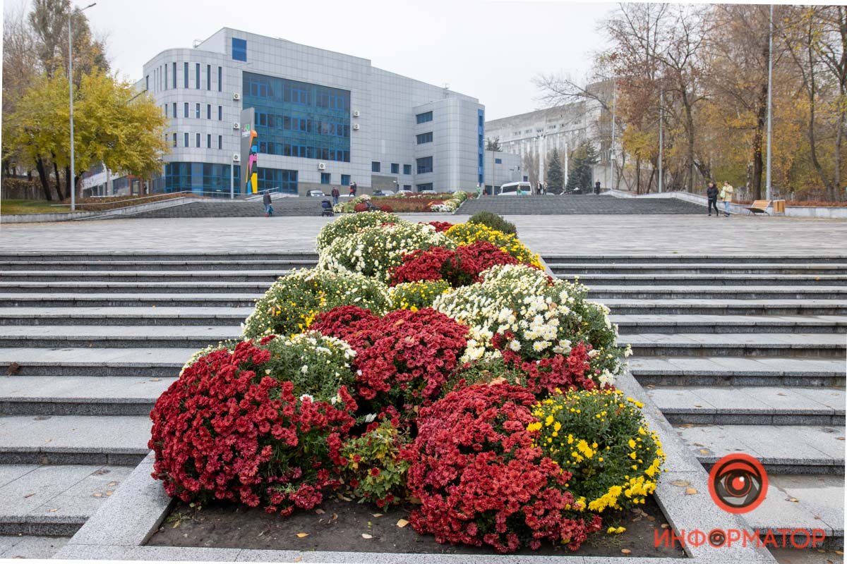 В Днепре продолжат ремонт парка Зеленый гай: что изменится 11