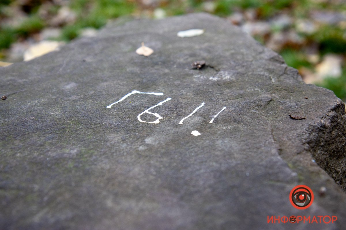 В Днепре продолжат ремонт парка Зеленый гай: что изменится 19