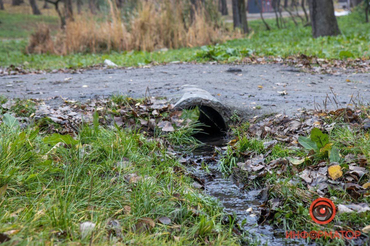 В Днепре продолжат ремонт парка Зеленый гай: что изменится 23