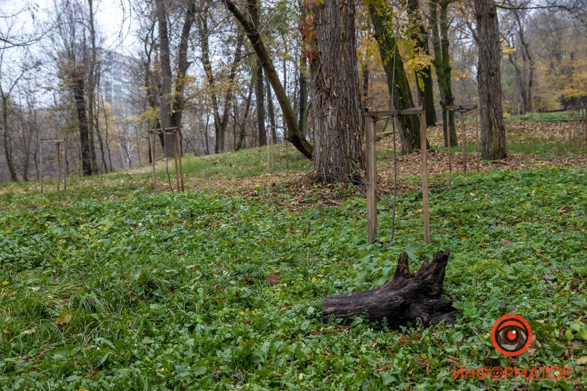 В Днепре продолжат ремонт парка Зеленый гай: что изменится 30