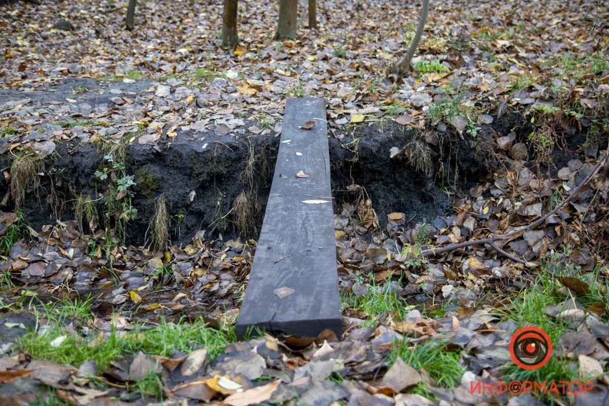 В Днепре продолжат ремонт парка Зеленый гай: что изменится 35