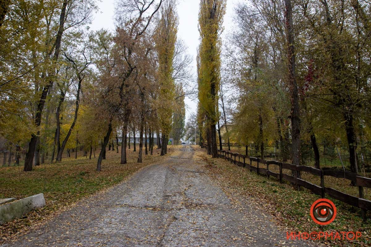 В Днепре продолжат ремонт парка Зеленый гай: что изменится 36