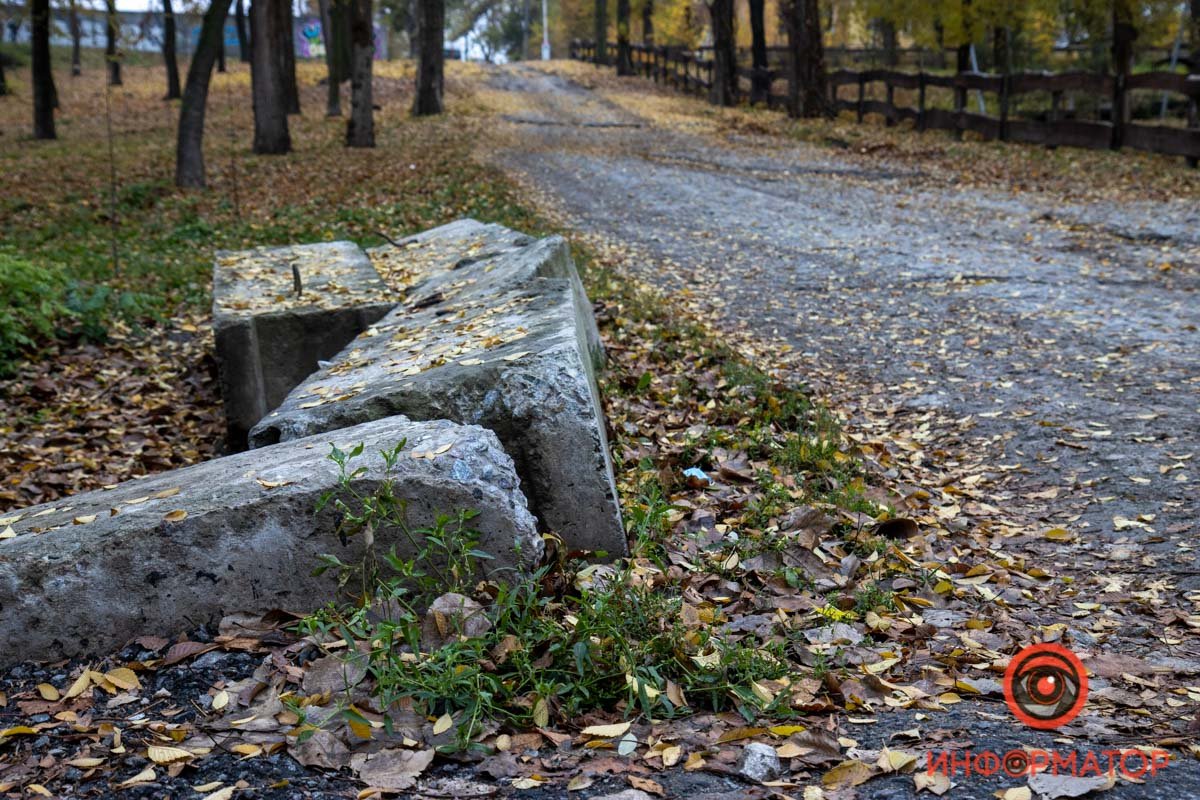 В Днепре продолжат ремонт парка Зеленый гай: что изменится 37