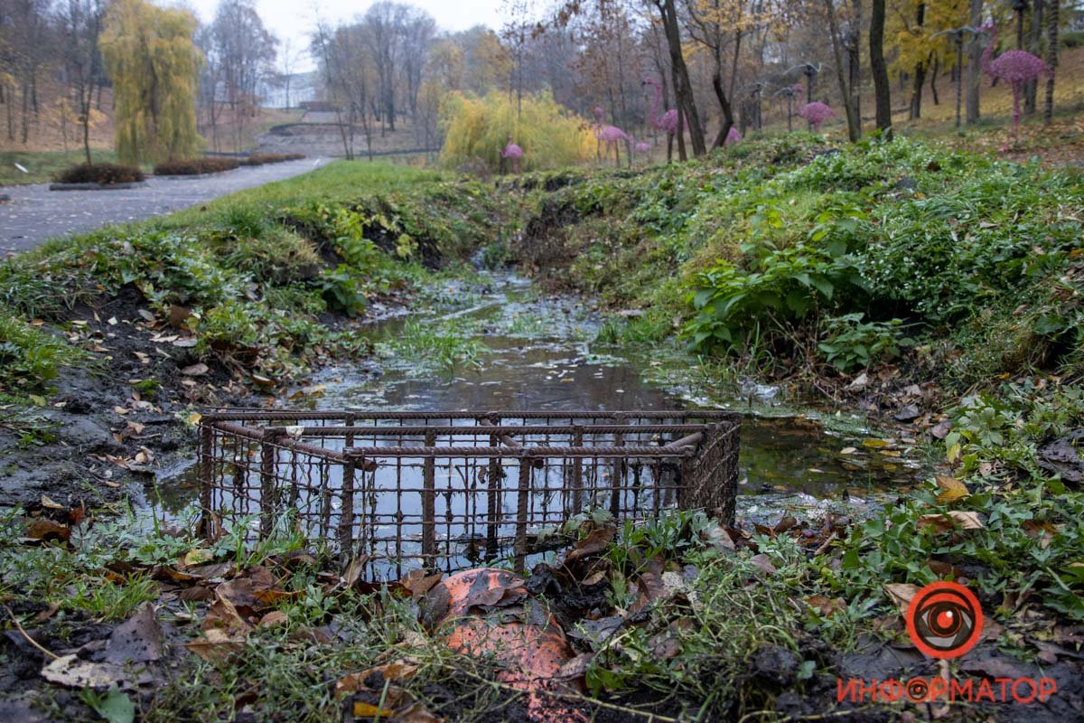 В Днепре продолжат ремонт парка Зеленый гай: что изменится 43