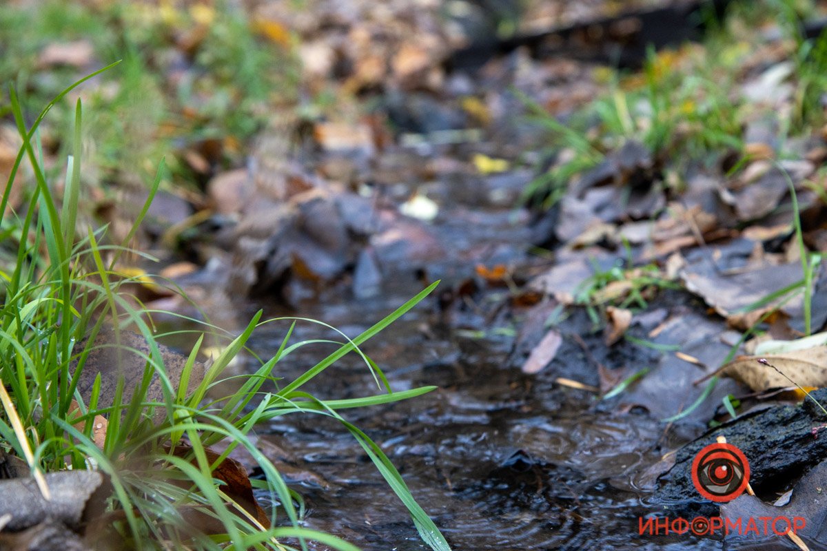 В Днепре продолжат ремонт парка Зеленый гай: что изменится 46
