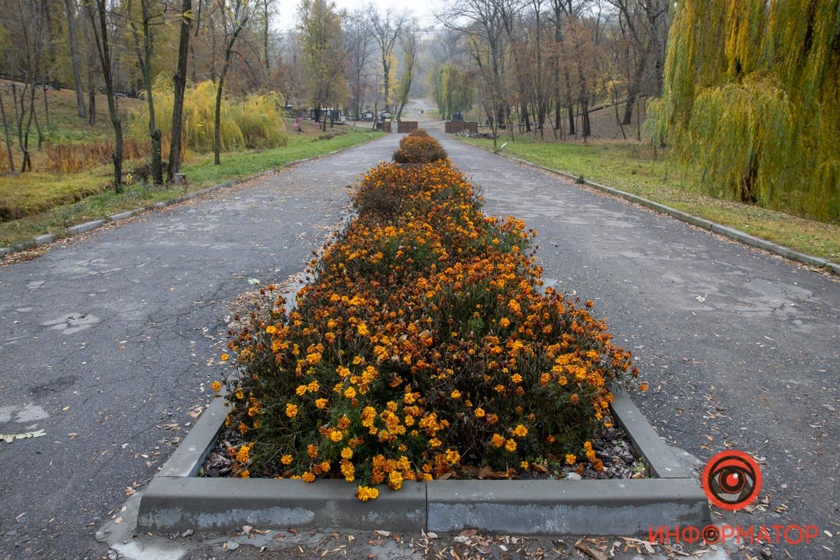 В Днепре продолжат ремонт парка Зеленый гай: что изменится 47