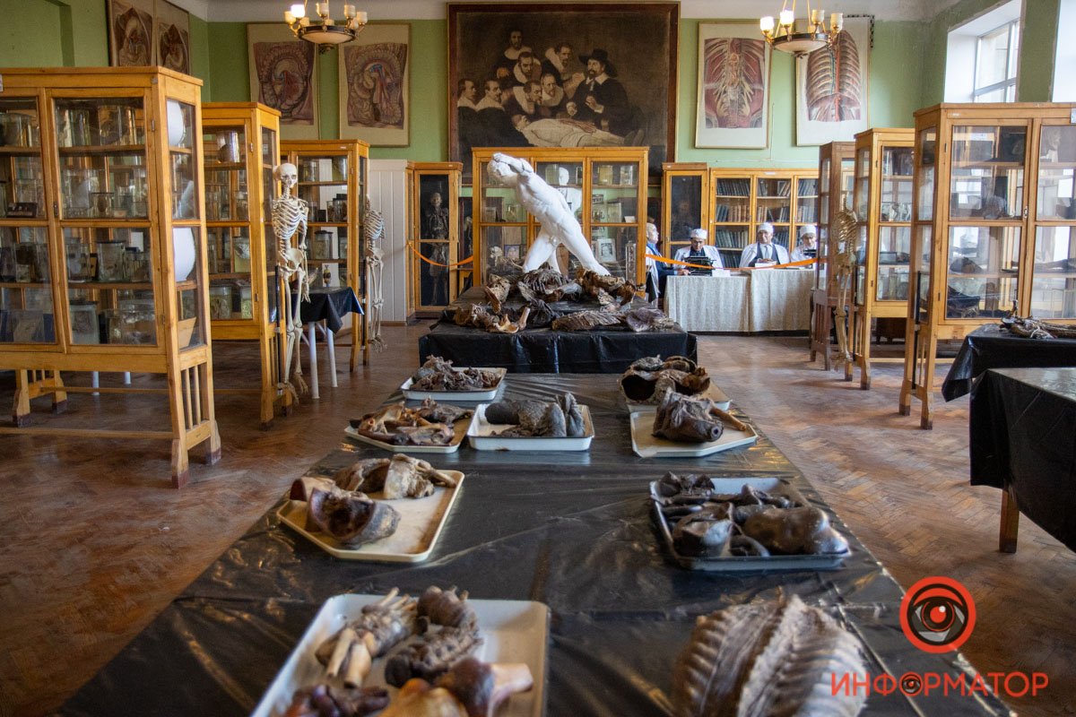 Анатомический музей имени профессора Стебельского Анатомический музей имени профессора Стебельского