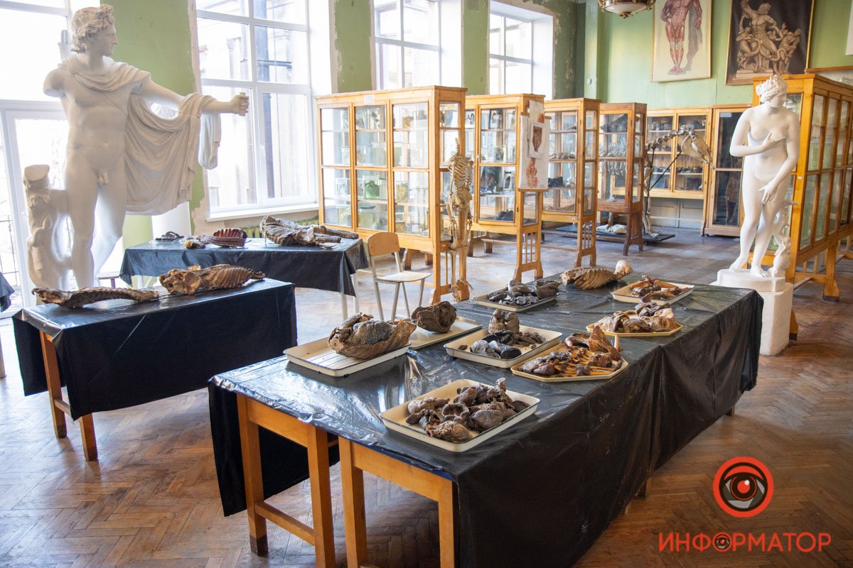 В Днепровском государственном медицинском университете, на третьем этаже В Днепровском государственном медицинском университете, на третьем этаже