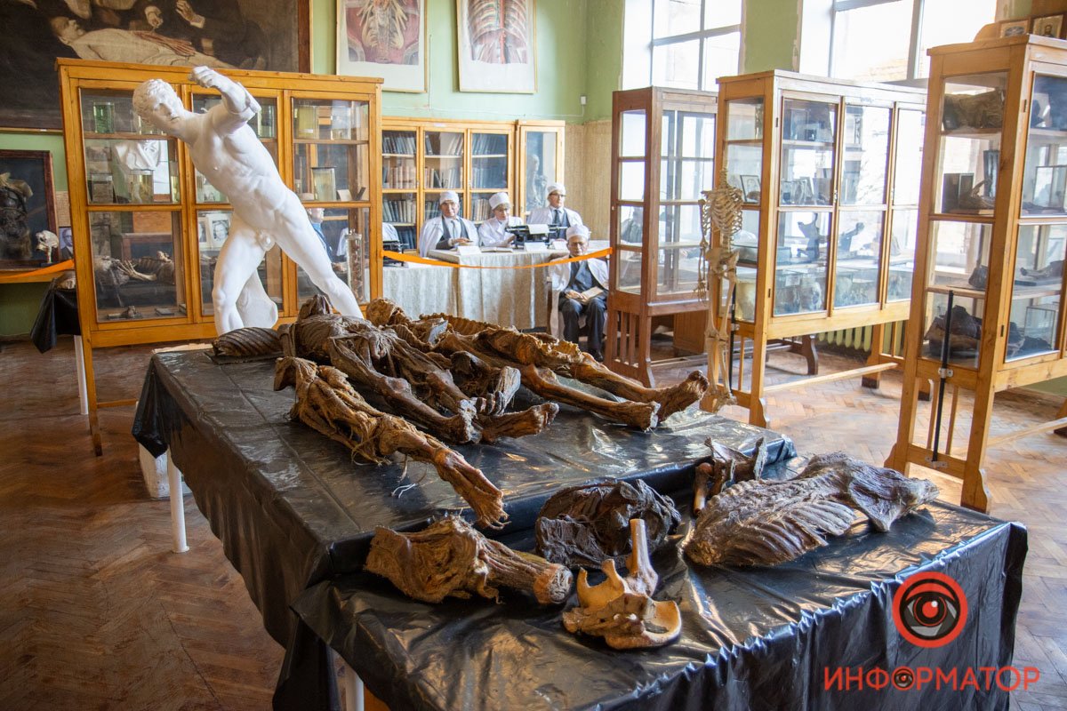 Музей при кафедре анатомии человека, клинической анатомии и оперативной хирургии Музей при кафедре анатомии человека, клинической анатомии и оперативной хирургии