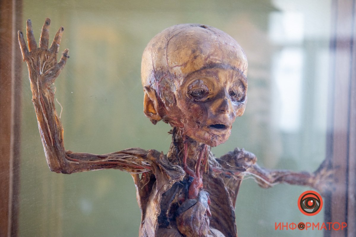 В музее всего 1 зал, но более тысячи экспонатов В музее всего 1 зал, но более тысячи экспонатов