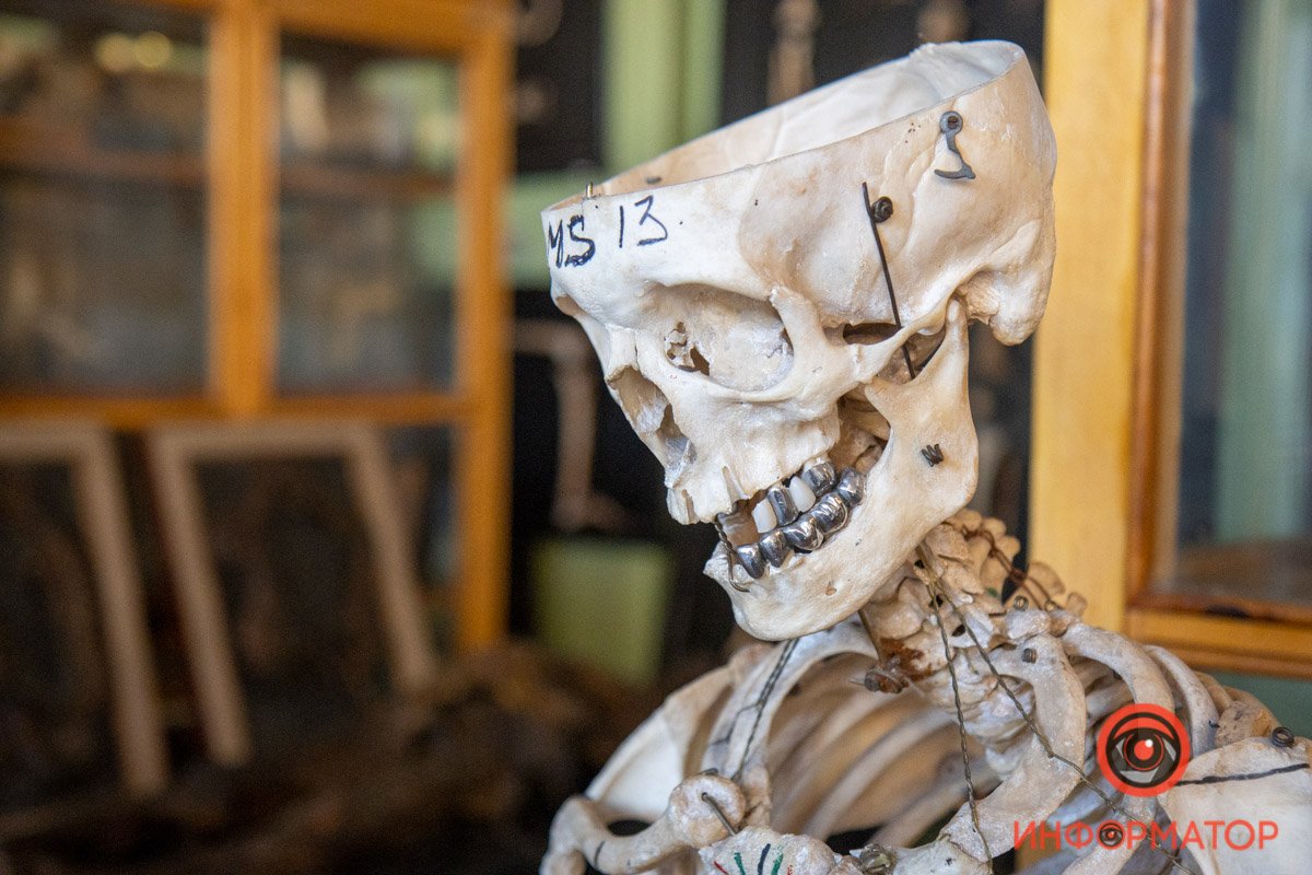 Музей создан в качестве пособия для студентов кафедры, а также как профориентация для школьников Музей создан в качестве пособия для студентов кафедры, а также как профориентация для школьников