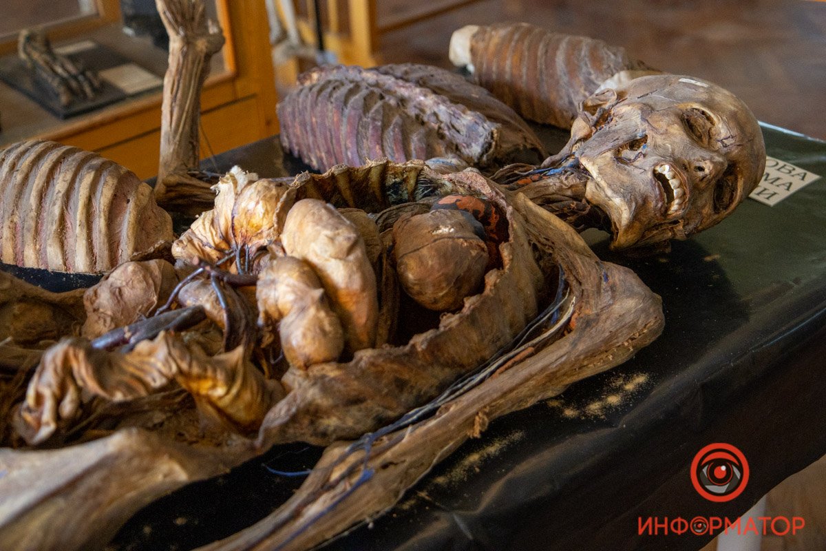 Мумифицировали высушиванием в специальных печах - при высокой температуре и без доступа кислорода Мумифицировали высушиванием в специальных печах - при высокой температуре и без доступа кислорода