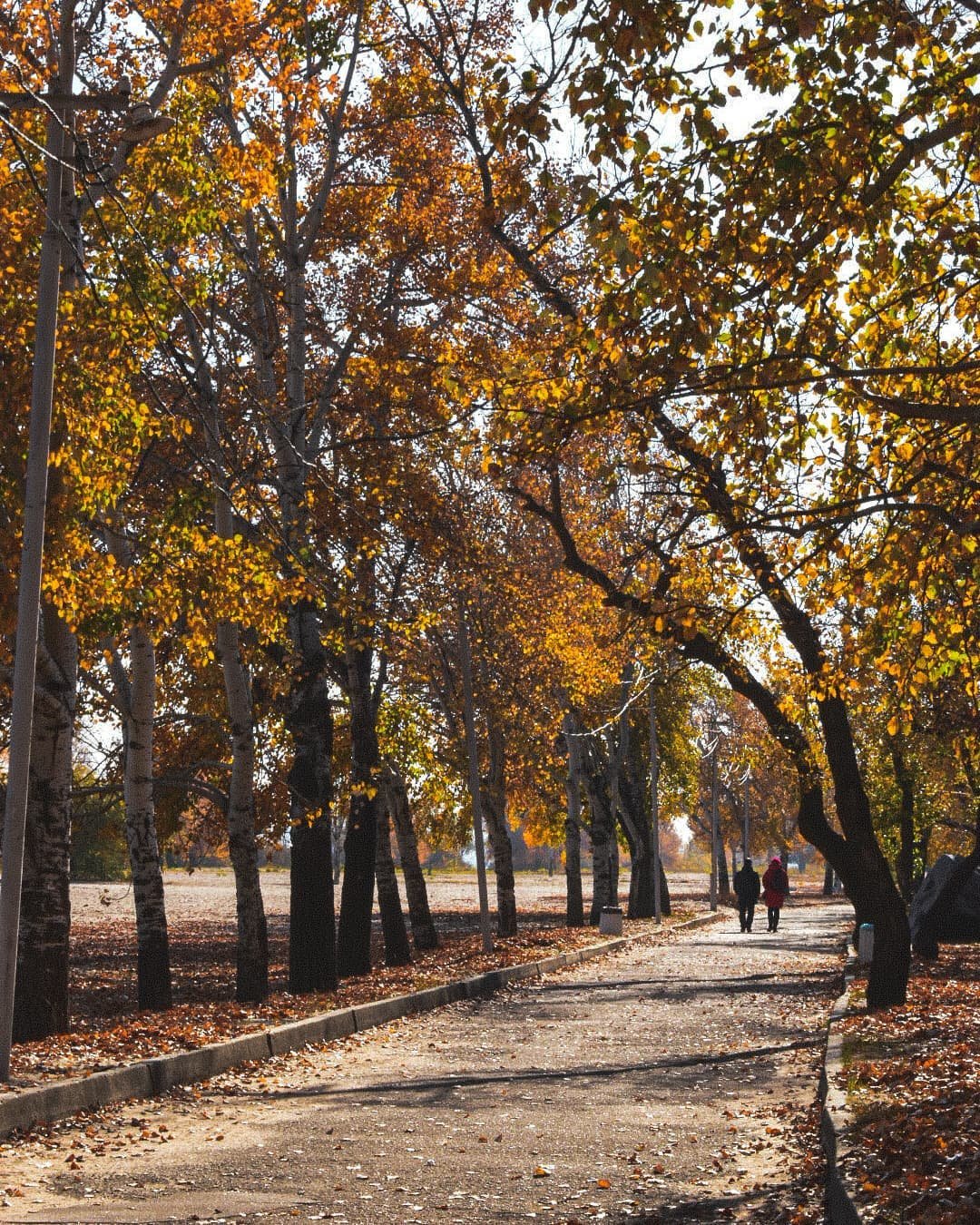 @nikitos161331 @nikitos161331