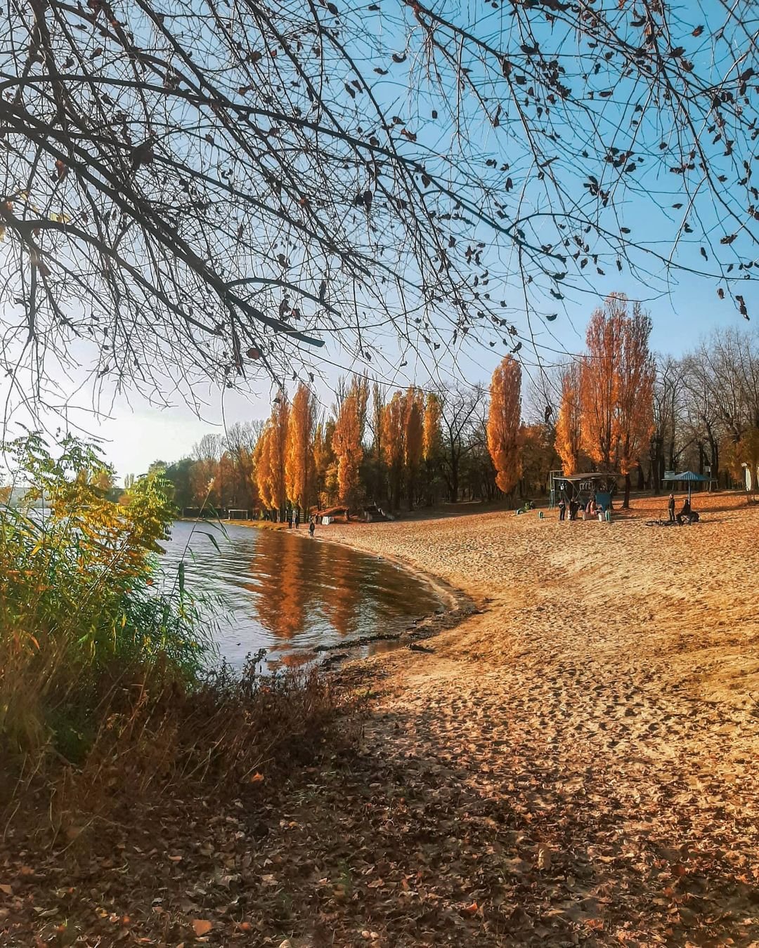 @alena.kozyrieva @alena.kozyrieva