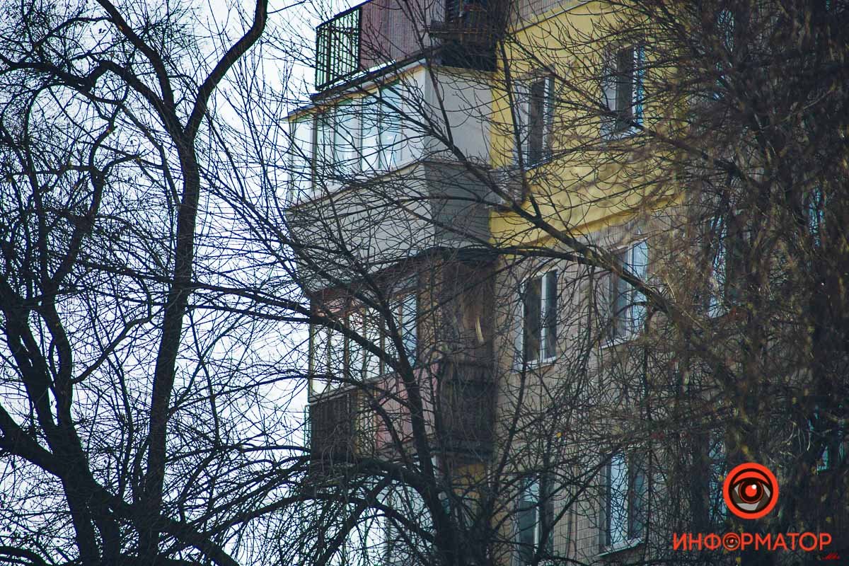 Сквозь ветви