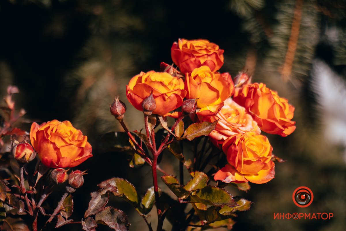 Природа все не сдается