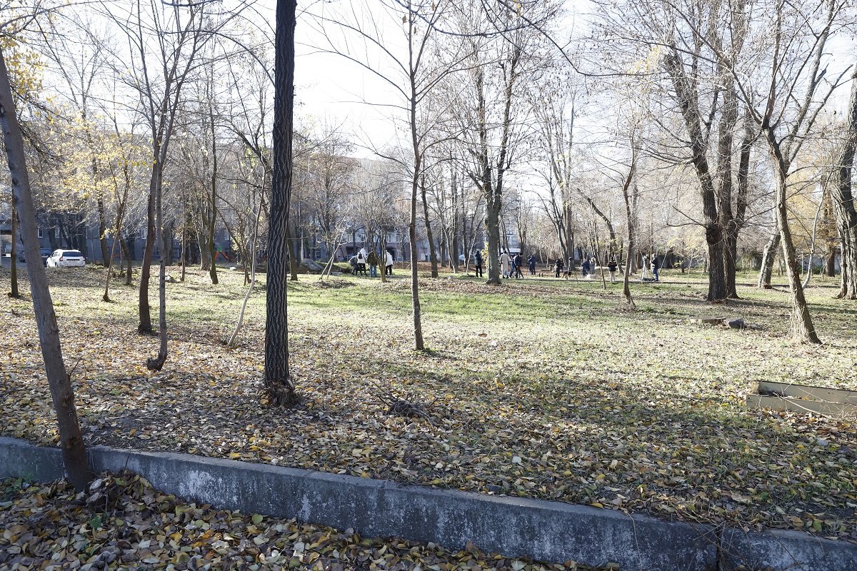 Вместо площадки для собак новая дорога: Как власть Днепра отреагировала на скандал вокруг Бюджета участия 4