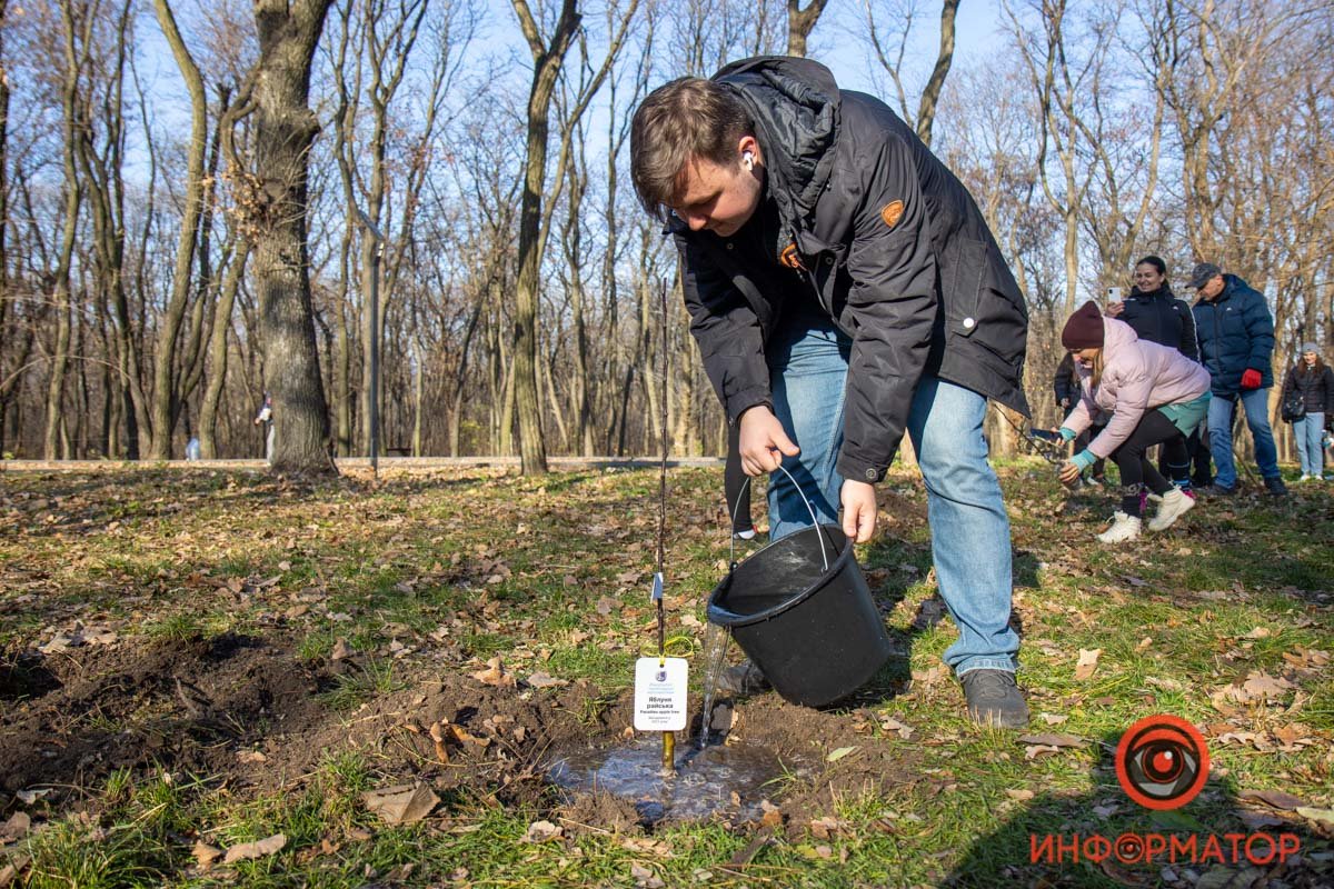 Осталось дождаться, пока вырастут 