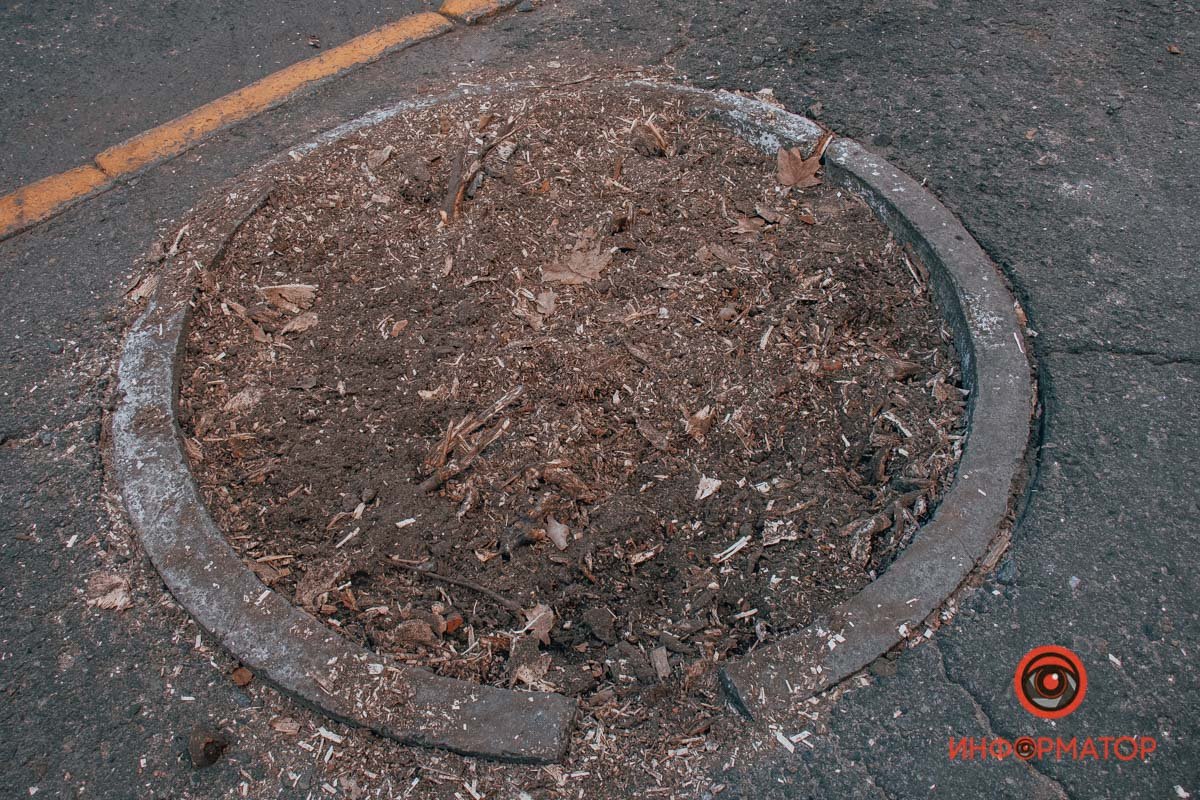 Раньше здесь было дерево