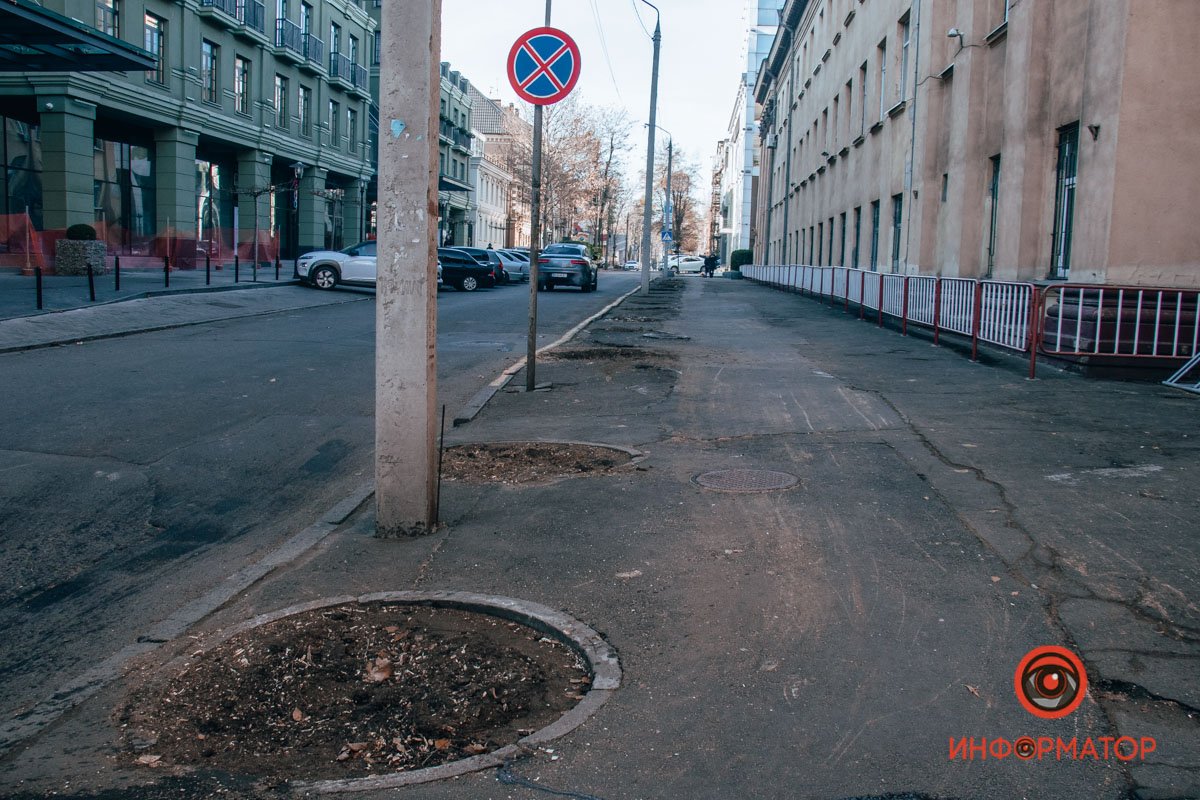 Совсем скоро появятся молодые клены и липы