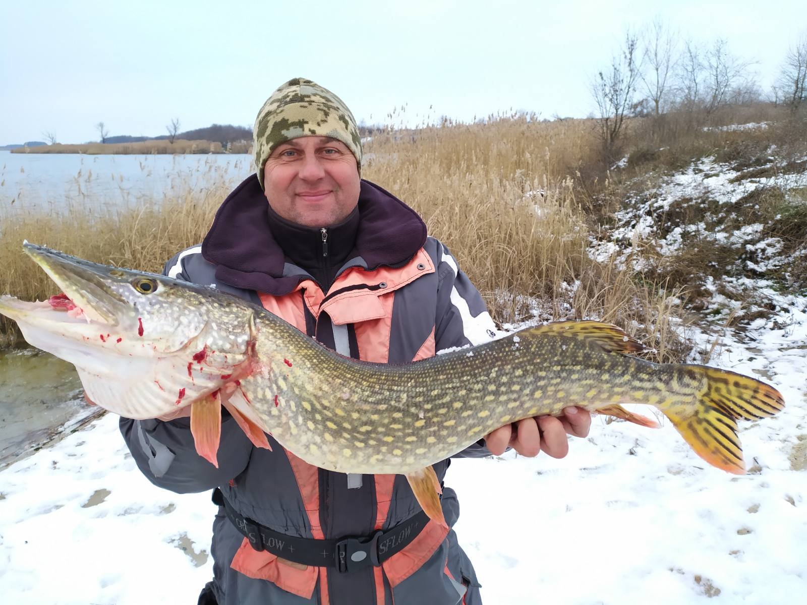 Еще один трофей Владимира Еще один трофей Владимира
