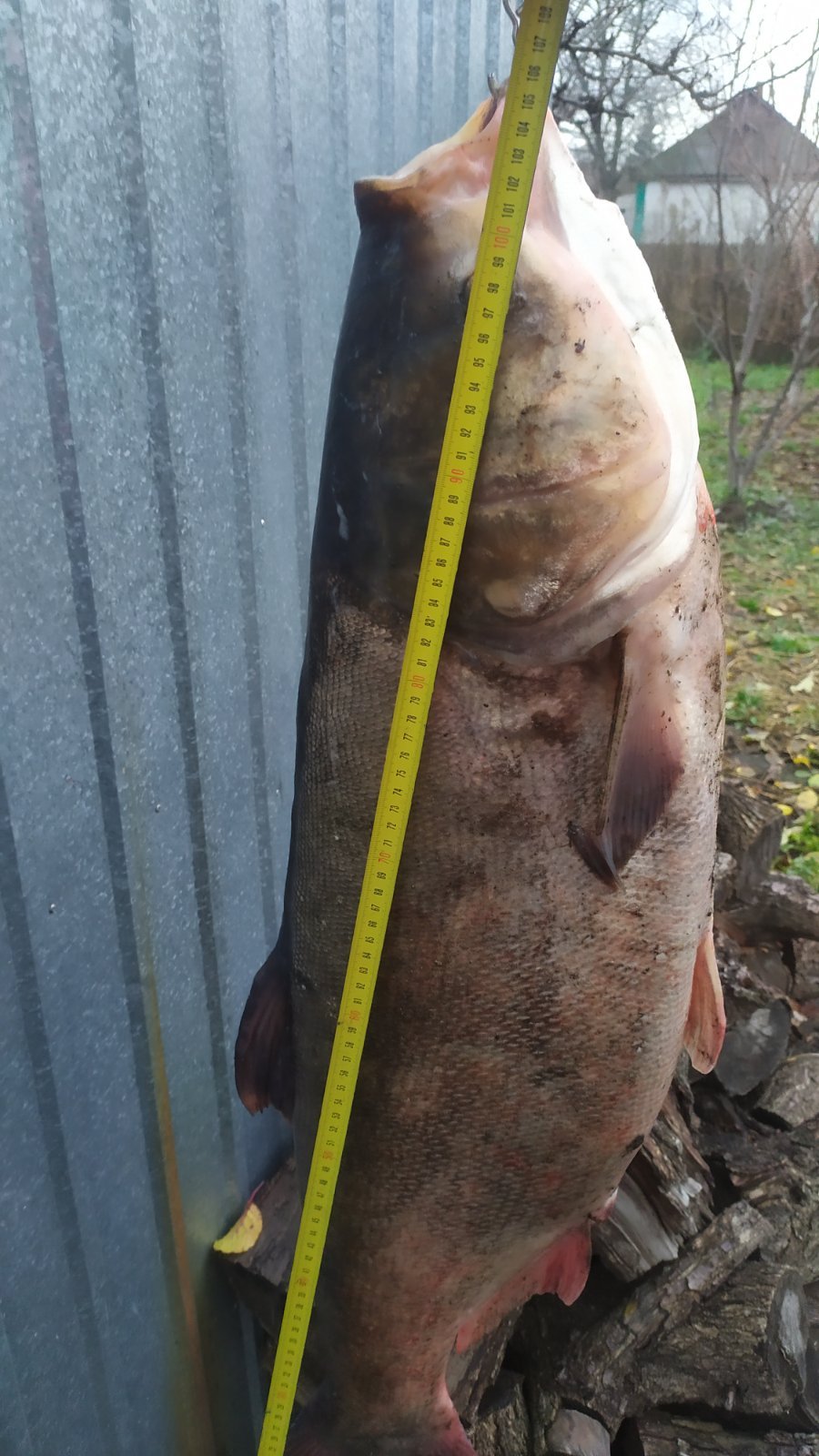 105 сантиметров 105 сантиметров