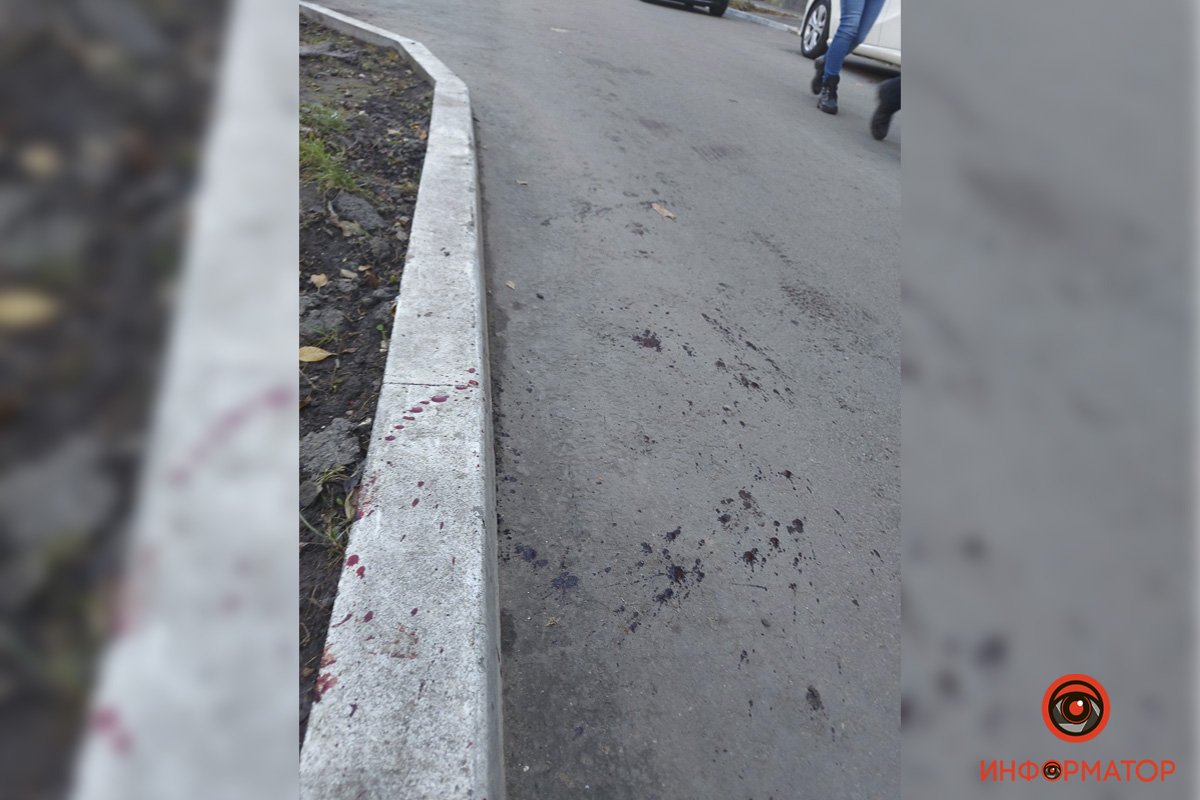 Жильцы дома подозревают, что собаку убил один из соседей Жильцы дома подозревают, что собаку убил один из соседей