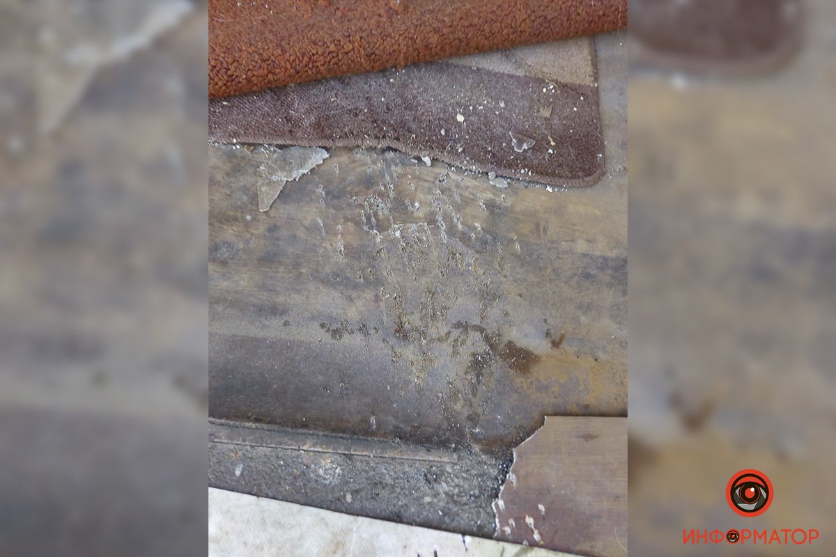 Следы от выстрелов, возможно, стреляли дробью Следы от выстрелов, возможно, стреляли дробью