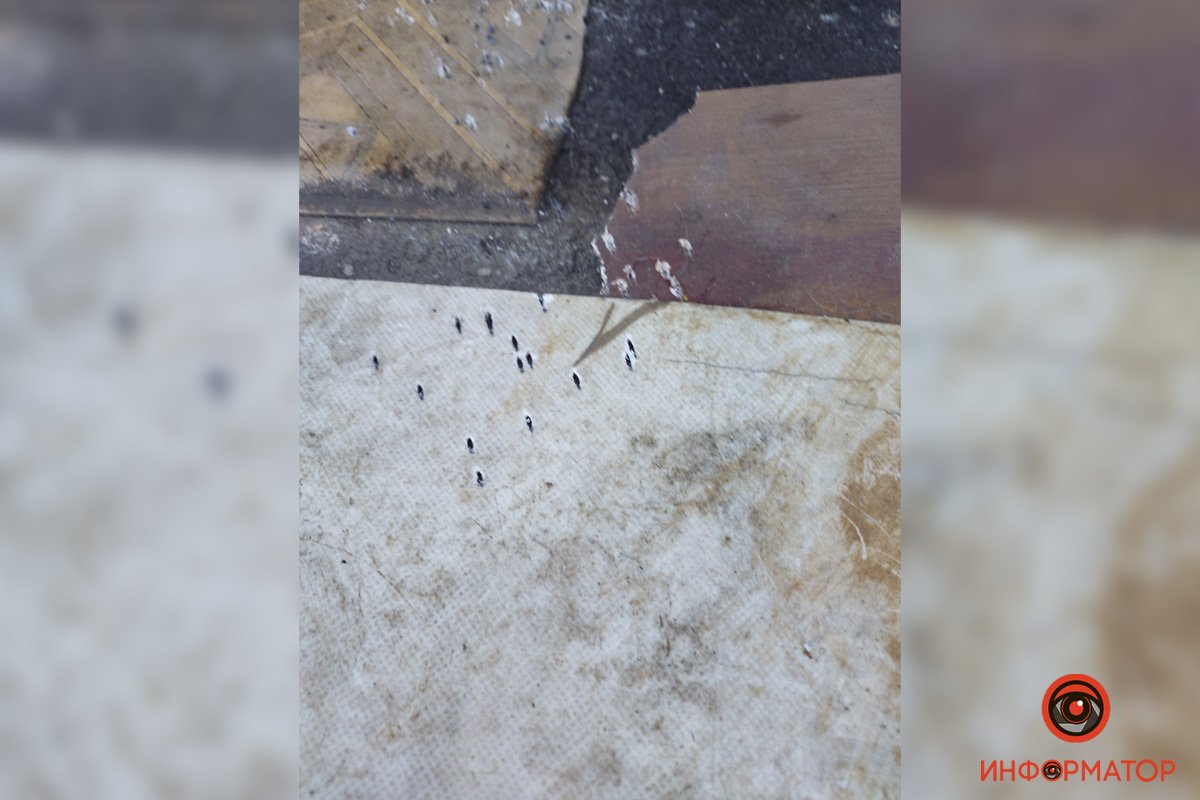 На этом фото лучше видны следы от выстрелов На этом фото лучше видны следы от выстрелов